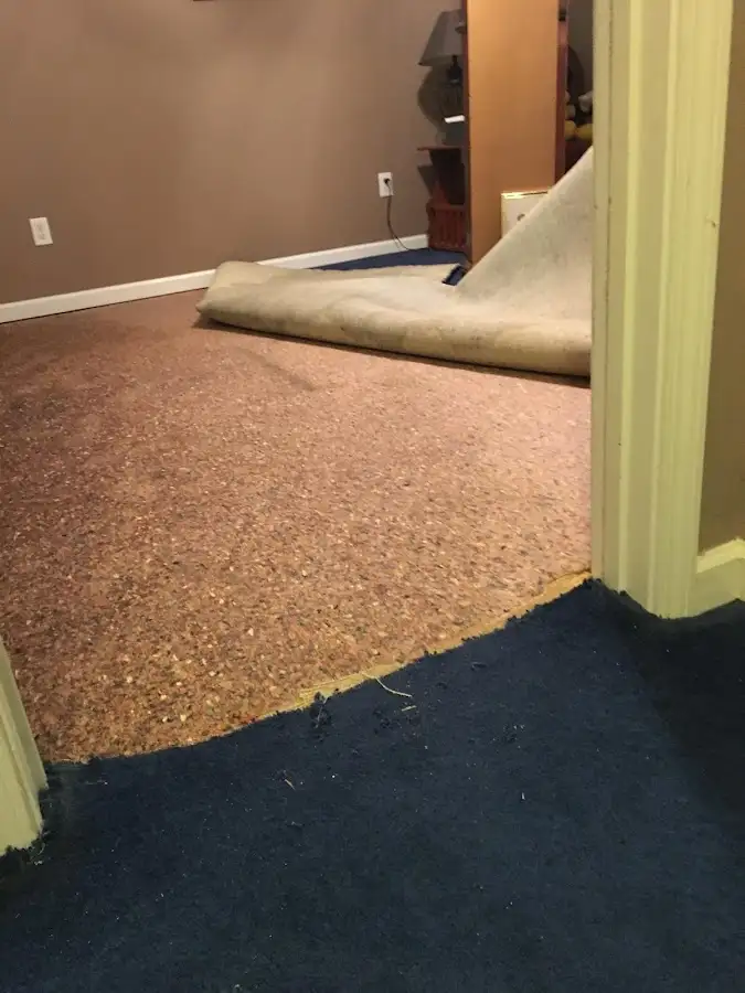 Carpet pad removal revealing water damage during Water Mitigation Services in River Edge